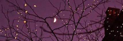 MoonX_28's profile banner image