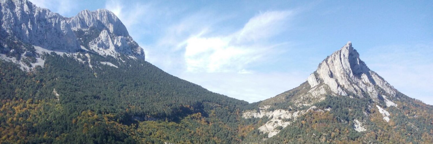 Roberto Martinez banner