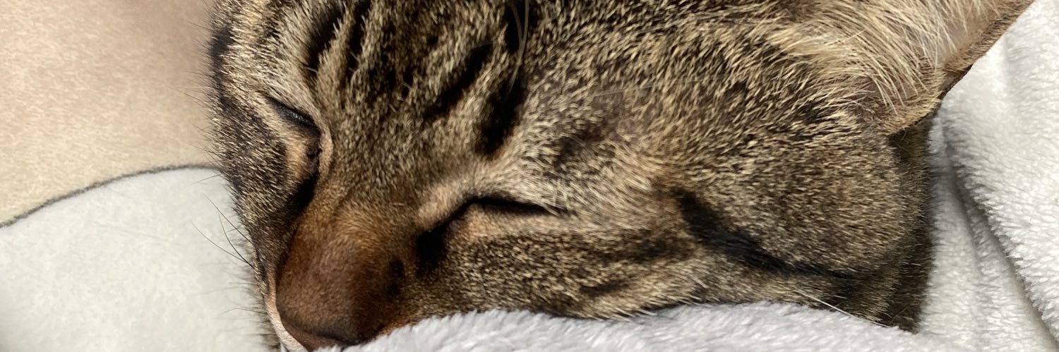 Tha_San_'s profile banner image