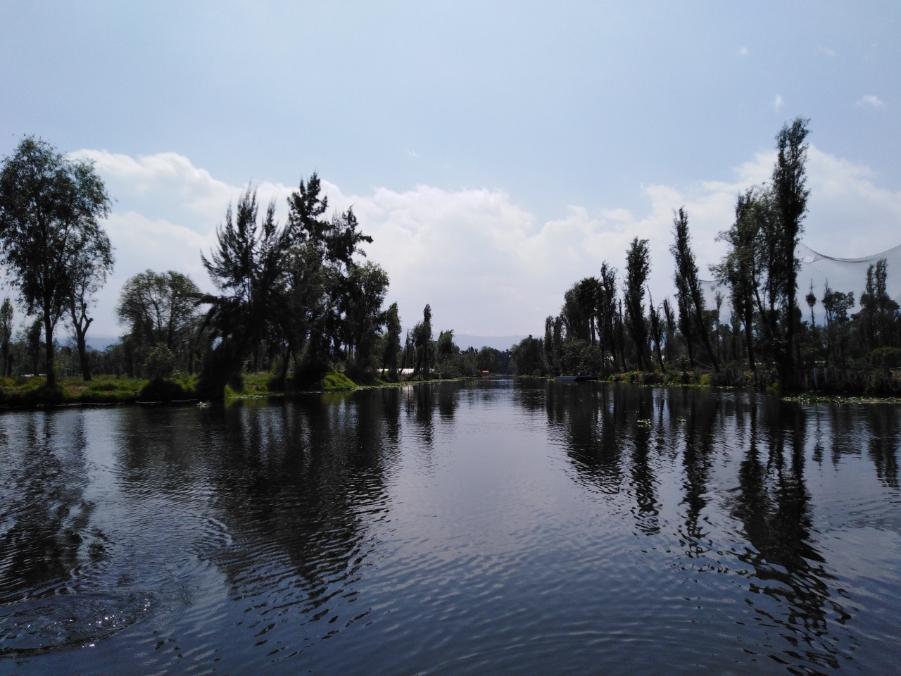 RestauraciónEcológicaᅠᅠᅠᅠᅠᅠᅠᅠᅠᅠᅠᅠᅠᅠᅠᅠᅠᅠᅠᅠᅠᅠᅠᅠᅠᅠᅠᅠᅠ banner