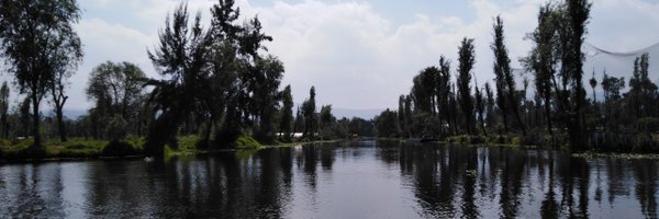 LRE_IBUNAM Profile Banner