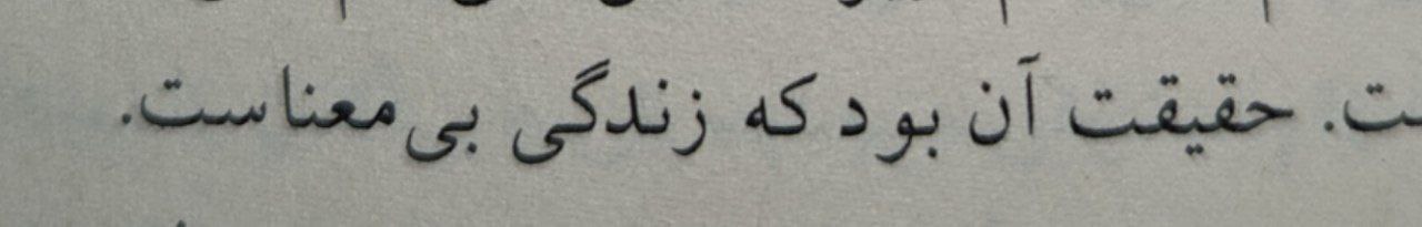 Shayan banner