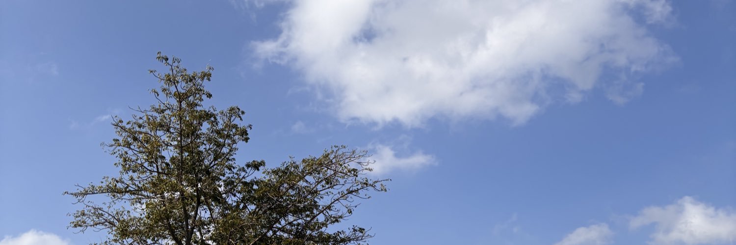 baebychs's profile banner image