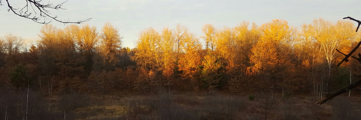madsondd's profile banner image