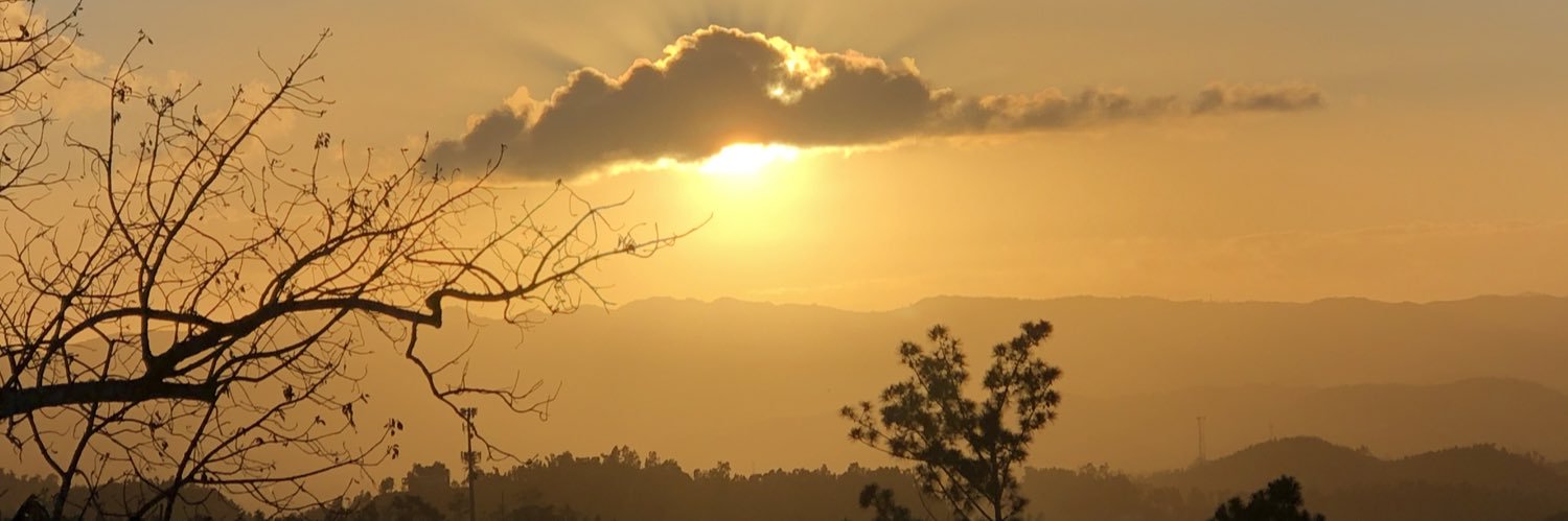irisyolanda6's profile banner image