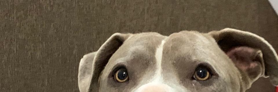 Nachey2's profile banner image