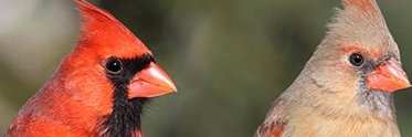 J Lock ☭ banner