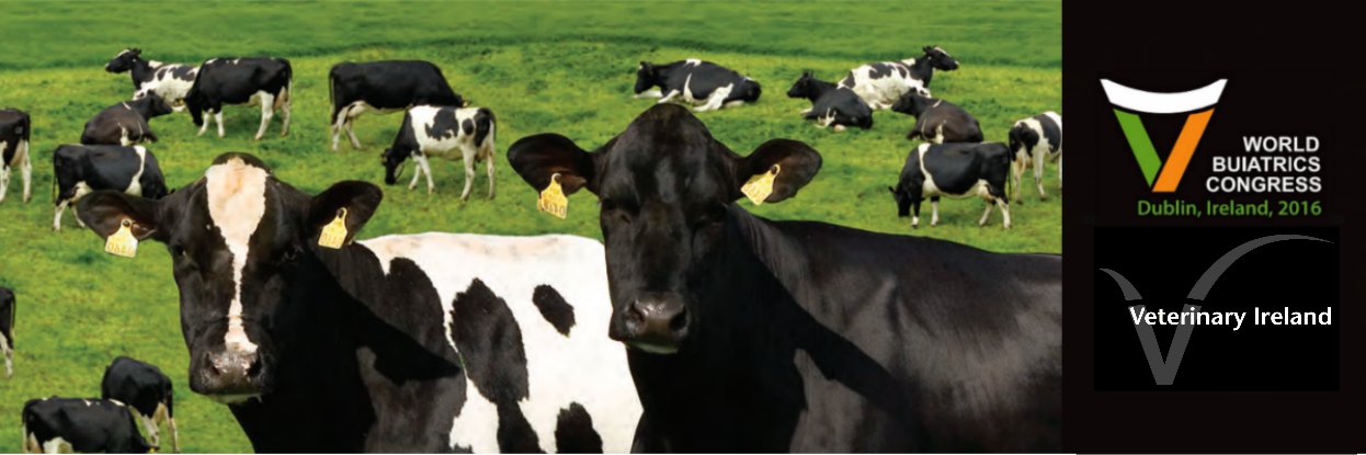 Veterinary Ireland banner