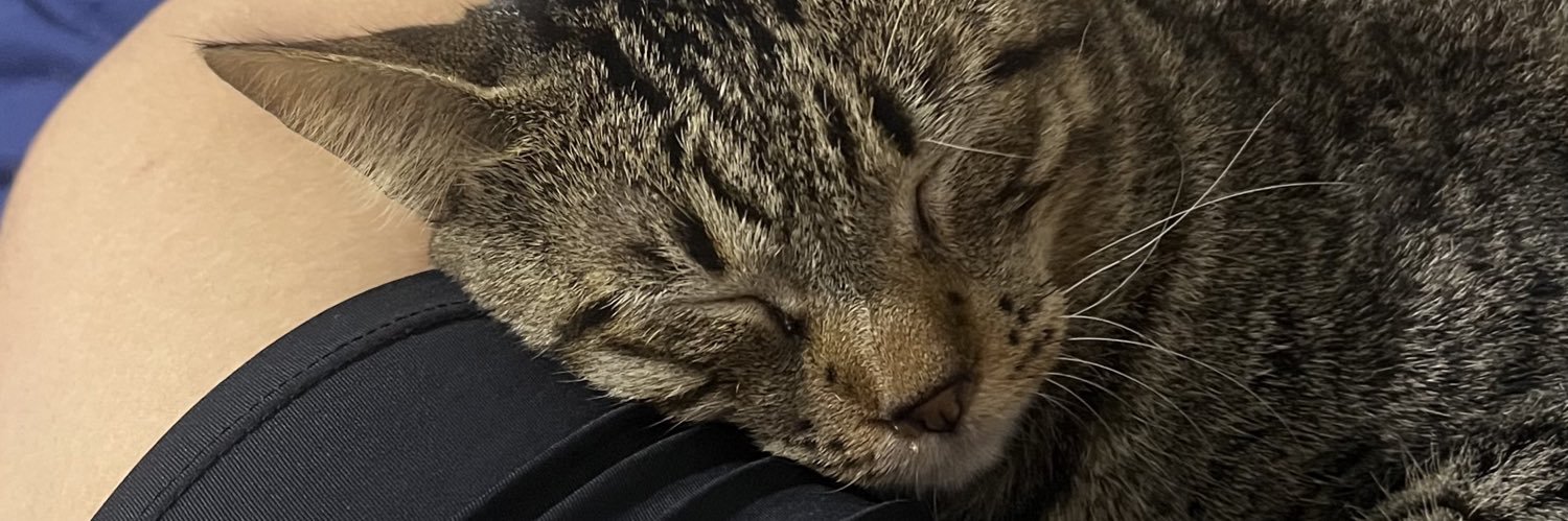 nicolli saque da betano medeiros banner