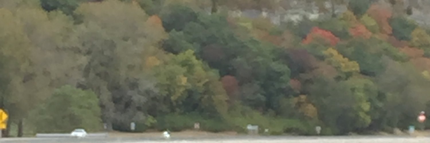 JenReaganPisark's profile banner image