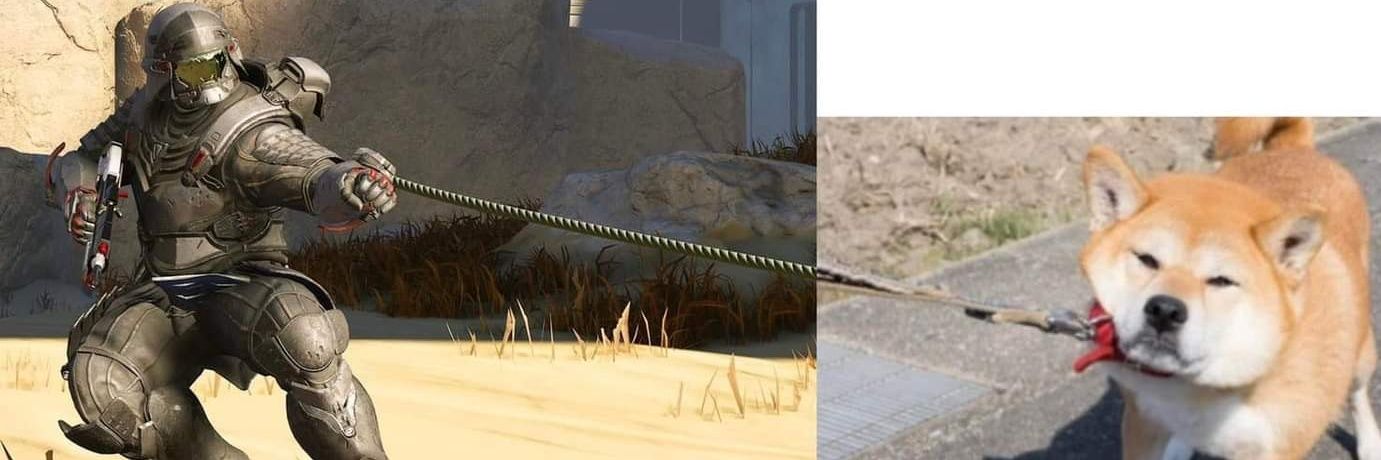 pooctus's profile banner image