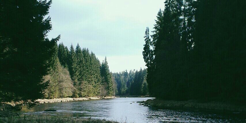 dylanmichaeld's profile banner image