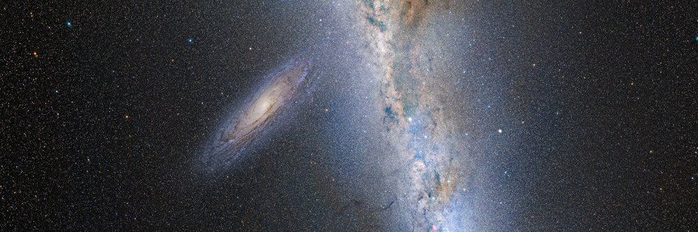 Andrew Dolinski banner