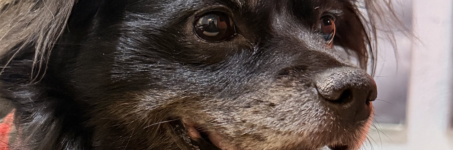 IAmMasterSun's profile banner image