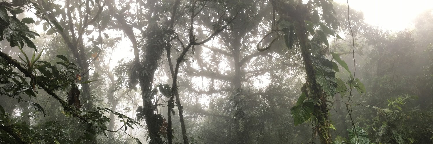 Michelle Spicer, PhD (she/her) banner