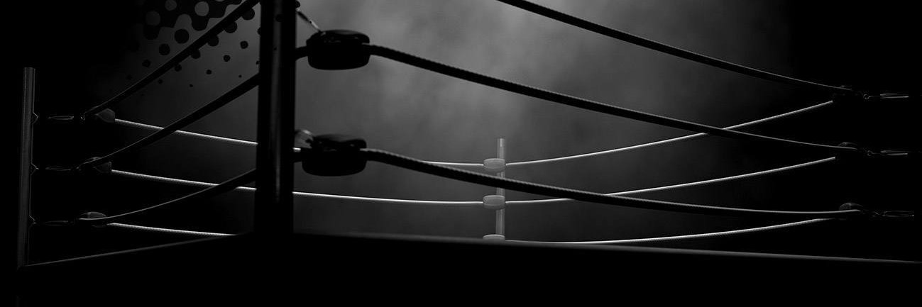 The_Thinker_Ape's profile banner image
