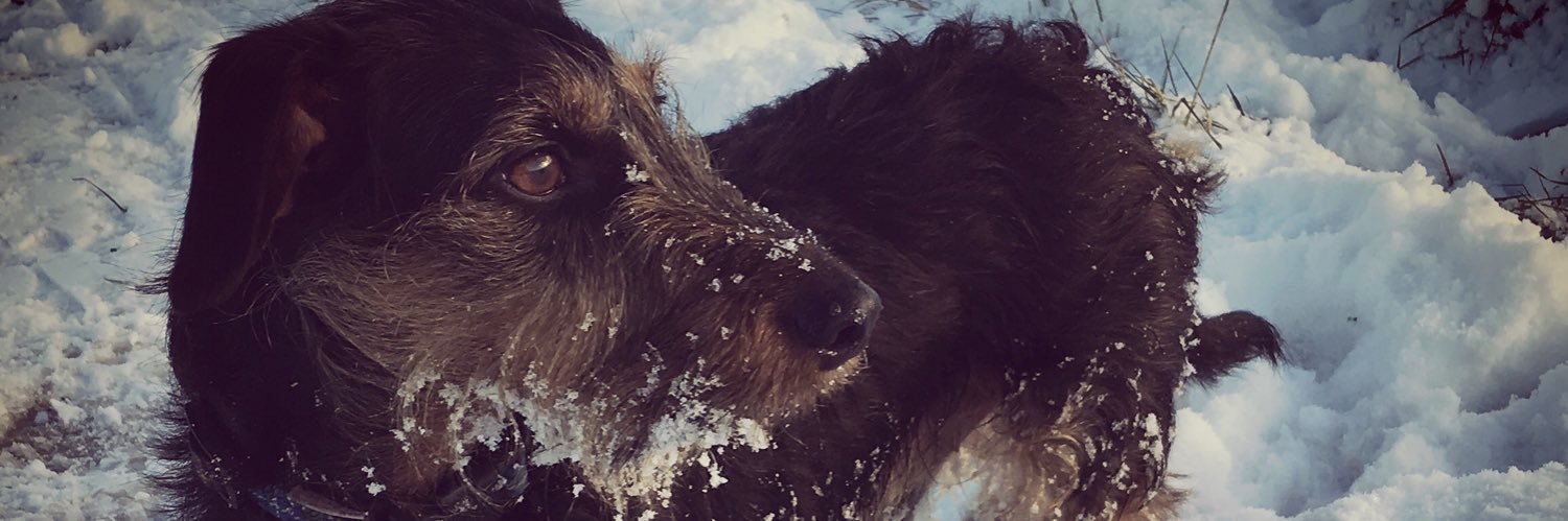 amyWMAHSN's profile banner image