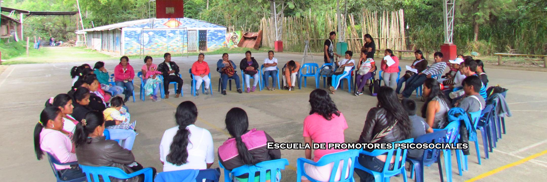 CAPS-Colombia banner