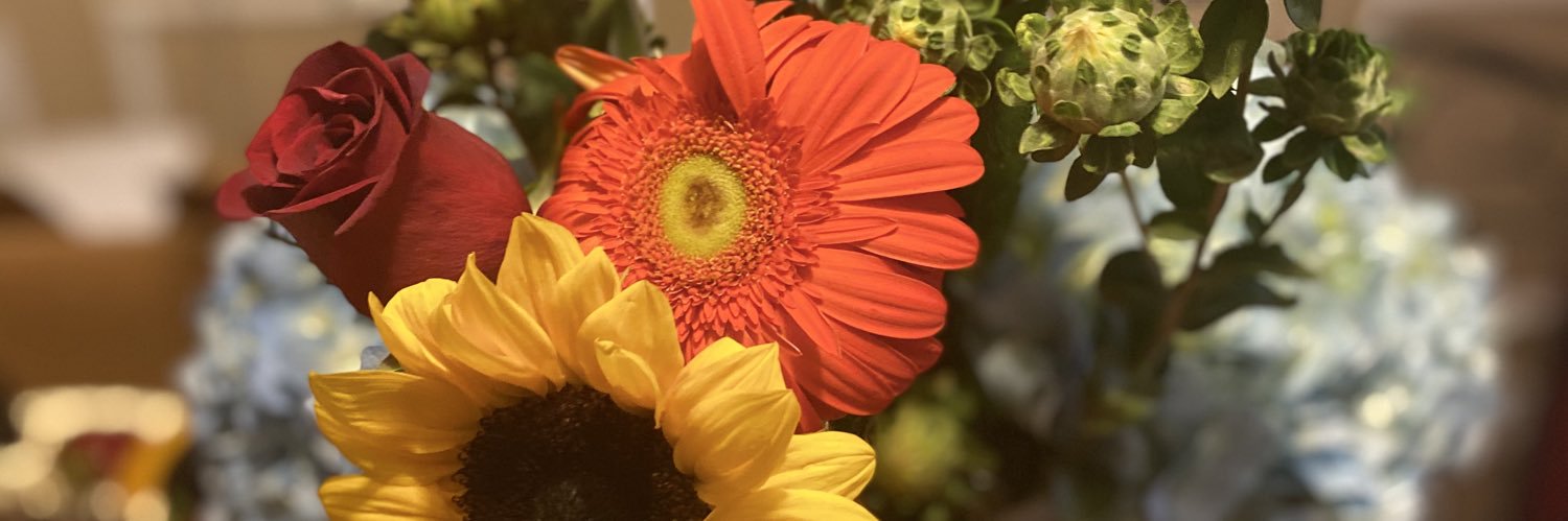 ShambryToYou's profile banner image