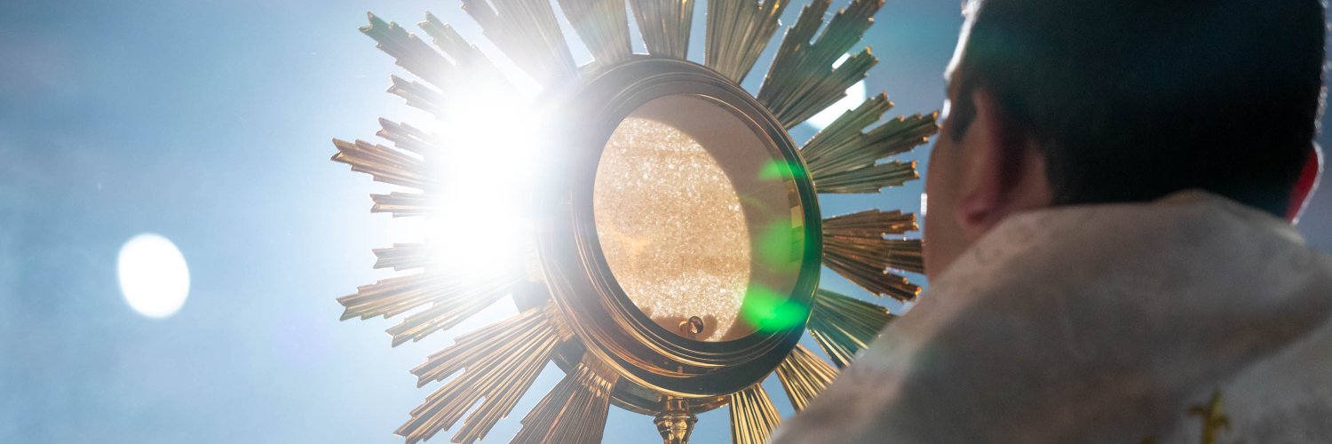 Diocese of Austin banner