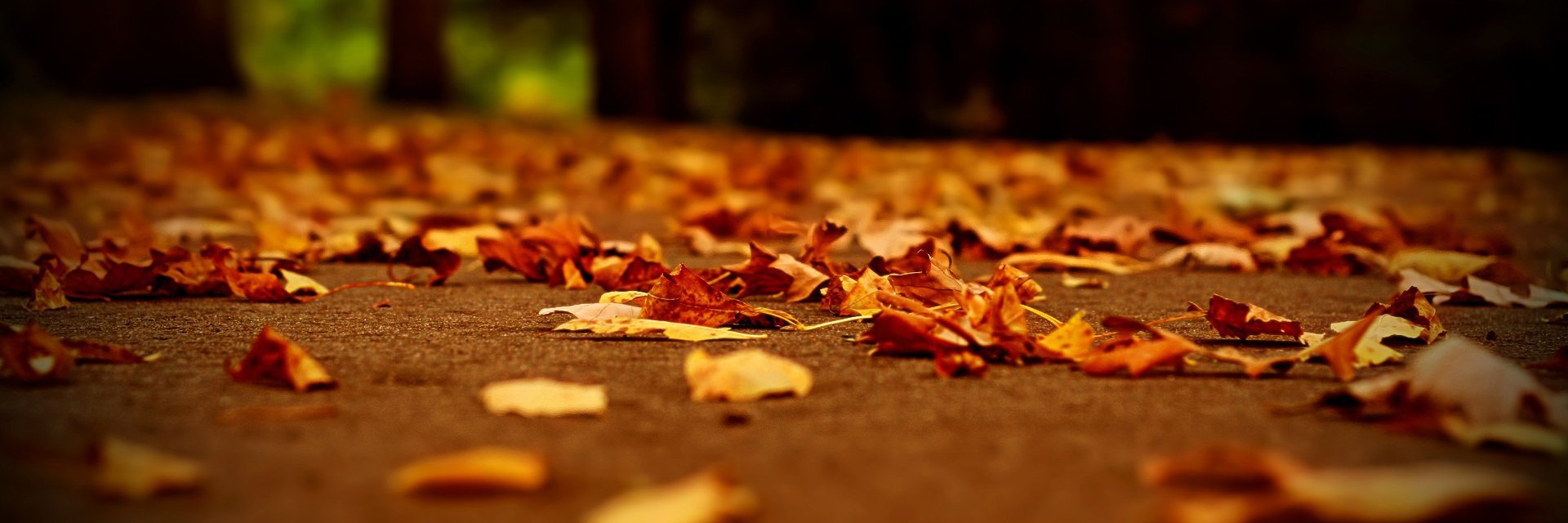 WLCCWichita's profile banner image