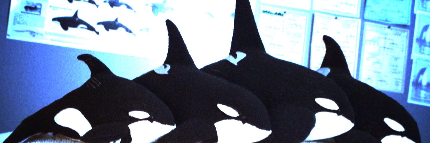 MLWebsterAuthor's profile banner image