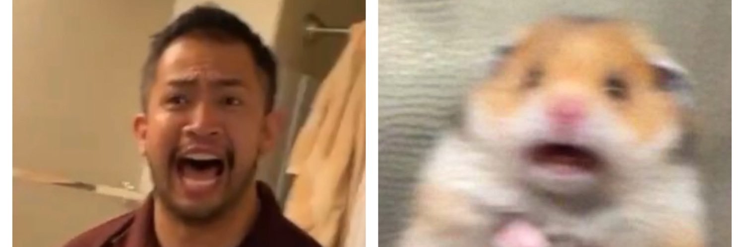 itsemersonbro banner