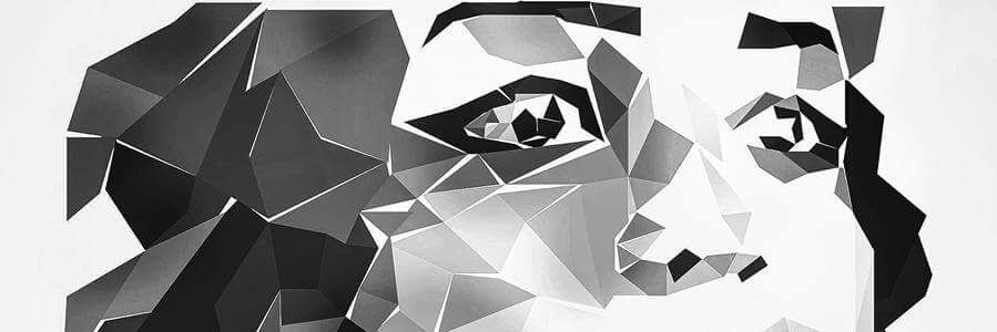 RanaEltibry's profile banner image
