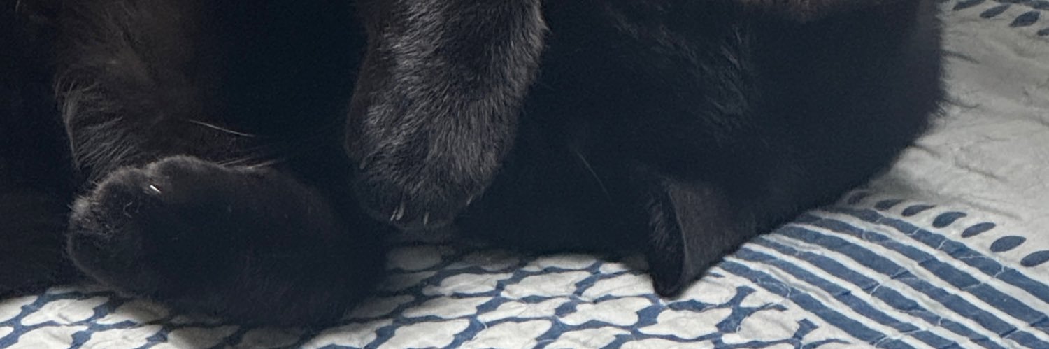 Alexgareis's profile banner image