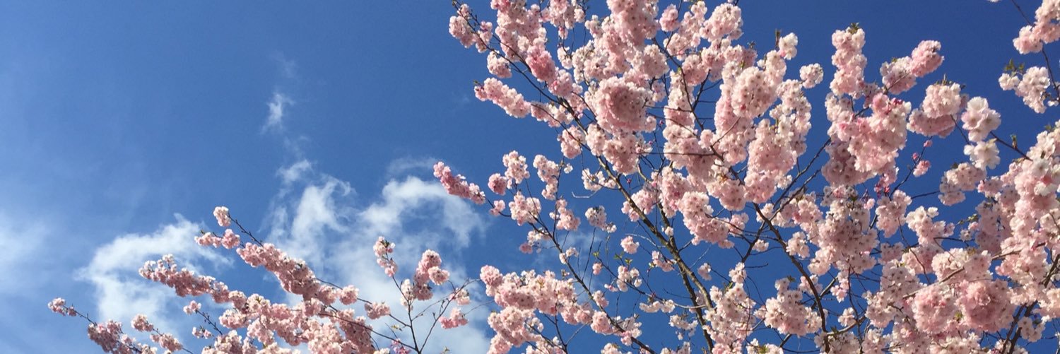 mixxellee's profile banner image