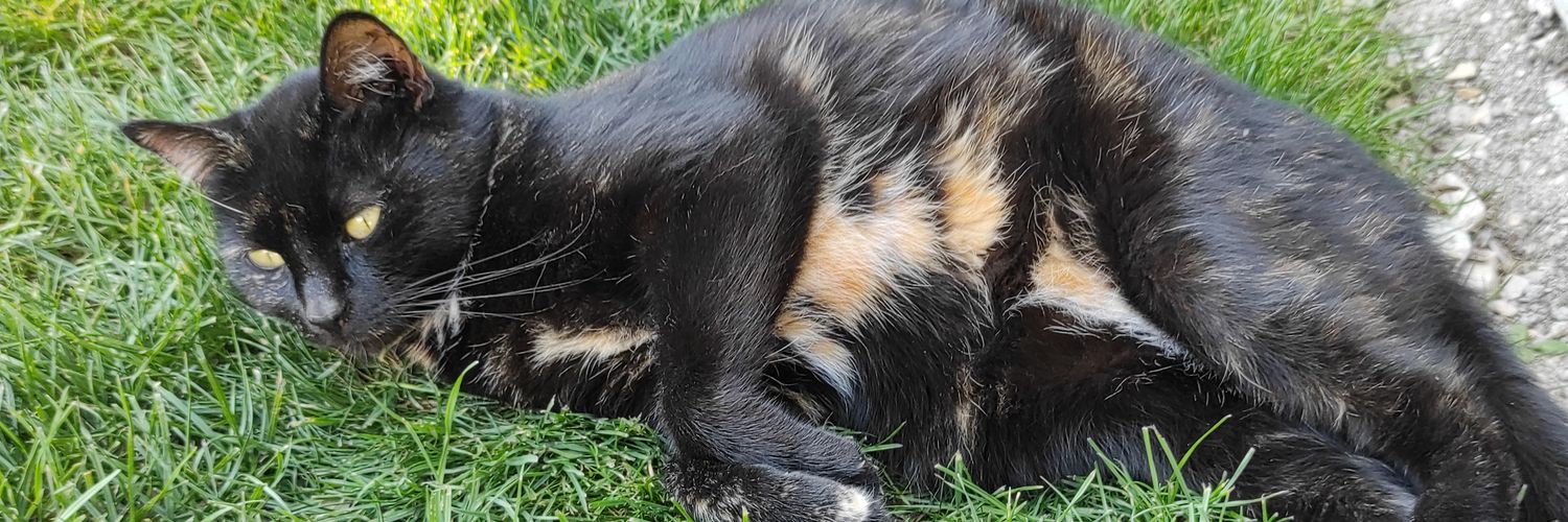 Maxime banner
