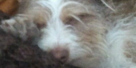 rub5nauer's profile banner image
