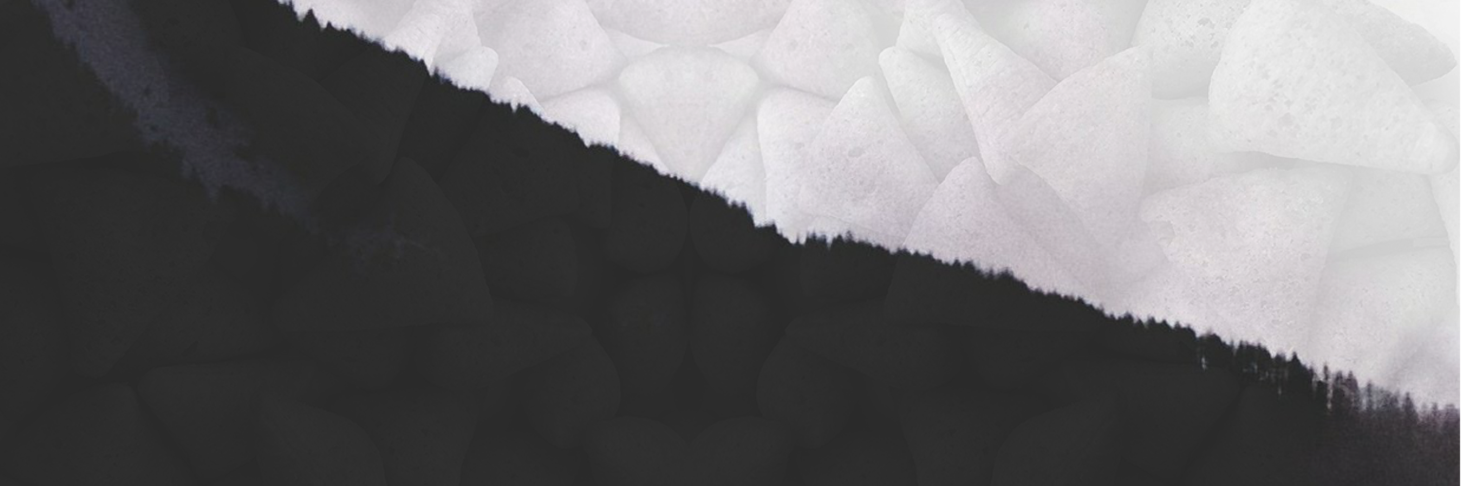 Edison banner