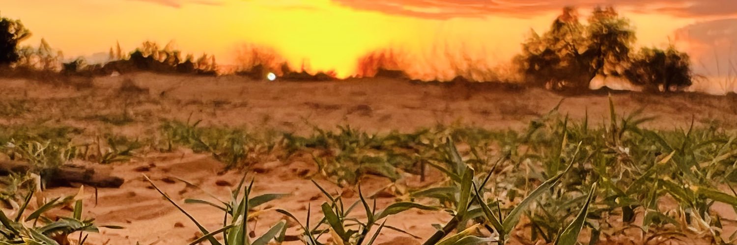 محمد قشوط banner