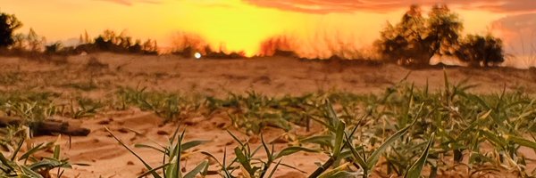 ghashoot1 Profile Banner