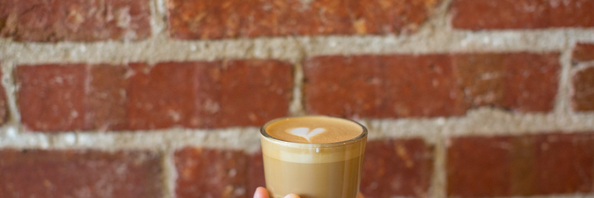 Small Planes Coffee banner