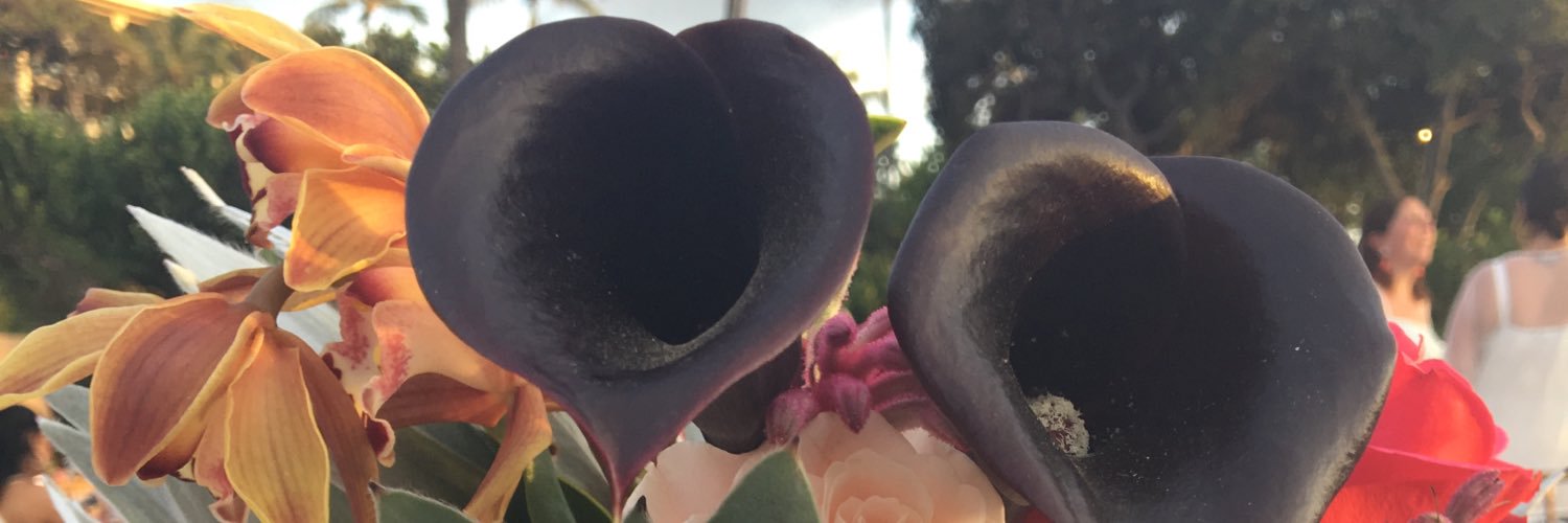 annsleef's profile banner image