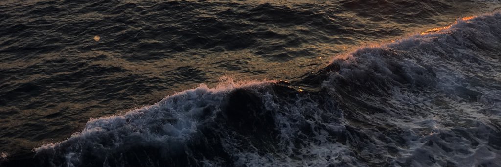 grjnvp's profile banner image