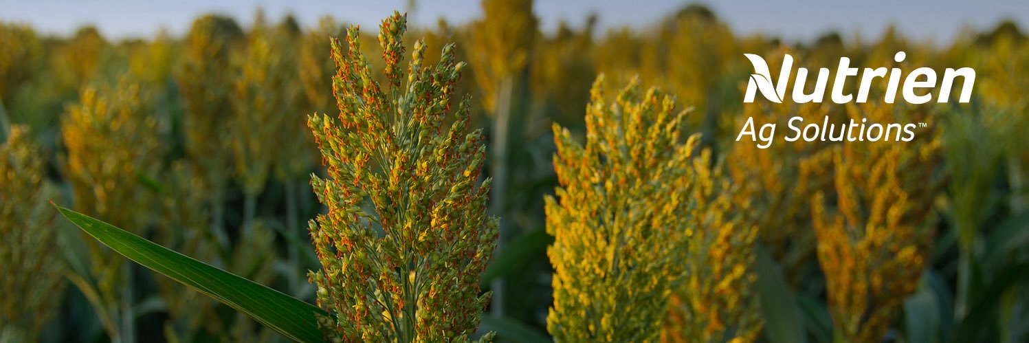 Nutrien Ag. Solutions  N. High Plains banner