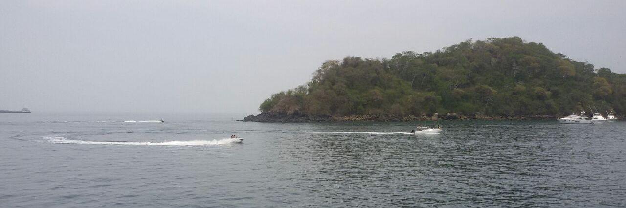 Carmen Valdes banner