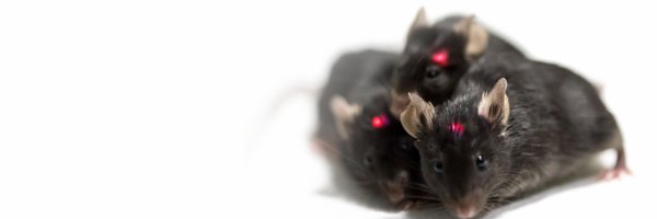 NeuroLuxInc Profile Banner