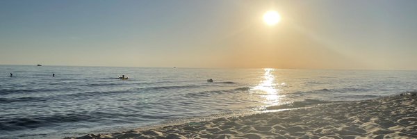 ShillingSarah Profile Banner