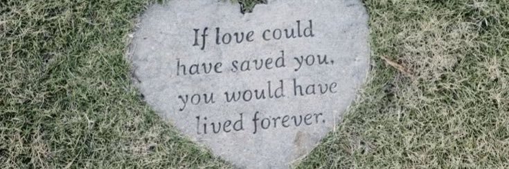 Scout's banner