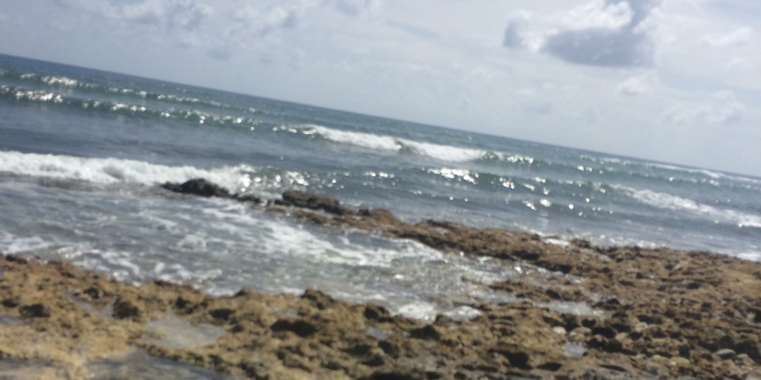 lindsaychaf's profile banner image