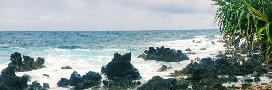 Ecrainey's profile banner image