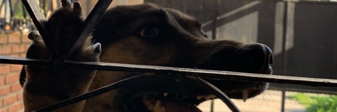 FedexBe's profile banner image