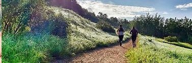Edmonton Trails banner