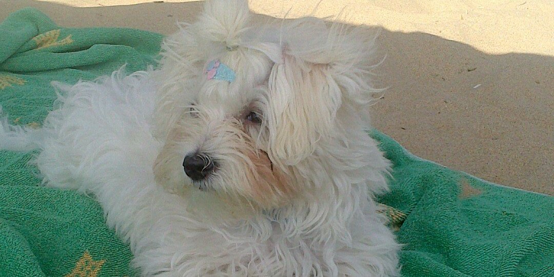 barbara__20's profile banner image