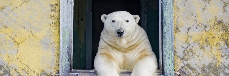 SluttySantaforJB banner