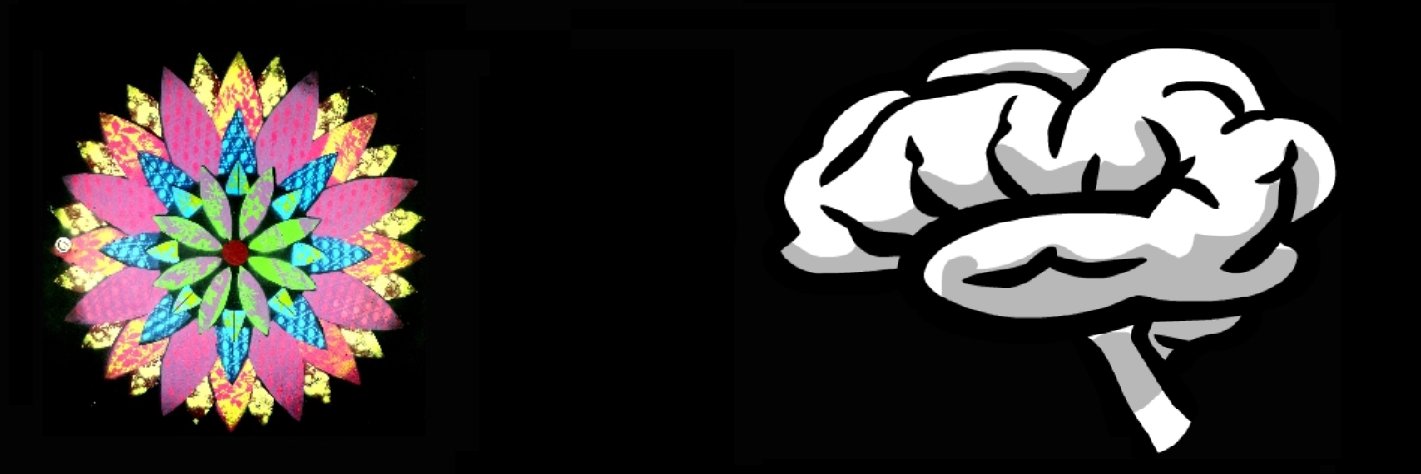 mathsciences35 banner